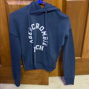 abercrombie and fitch sweatshirt